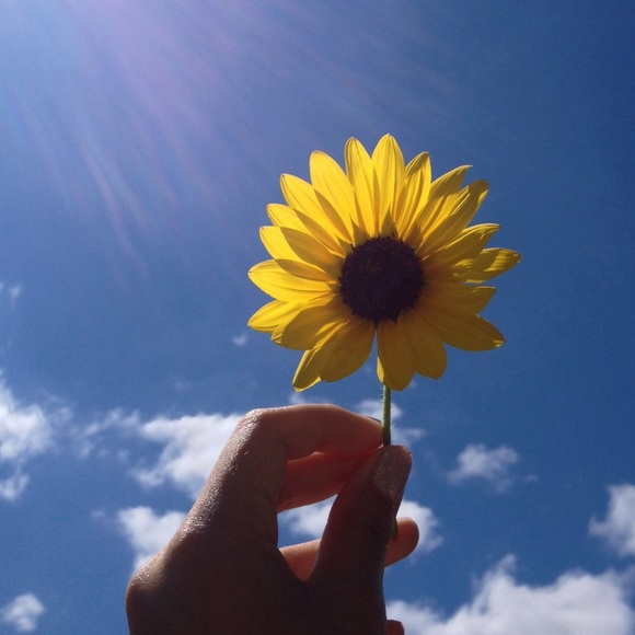 Meet your Posher, Courtney - Picture 1 of 1